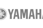 Blockflöten von Yamaha im Musikhaus Magunia in Stade