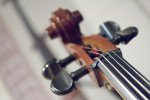 Streichinstrumente - Geige, Bratsche, Cello, Kontrabass kaufen oder mieten im Musikhaus Stade