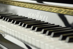 Klavier - das Beste was Ihnen unter die Finger kommen kann