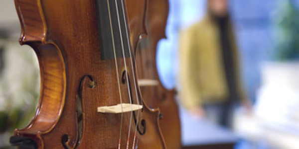 Streichinstrumente - Geige, Bratsche, Cello, Kontrabass